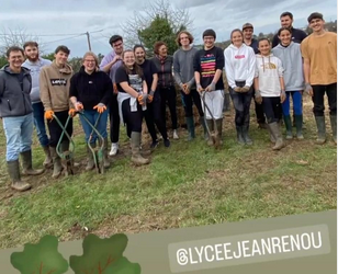 Micro forêt urbaine à La Réole