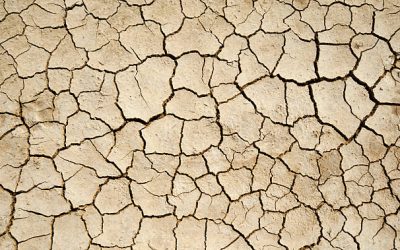 ARRÊTE CATASTROPHE NATURELLE SÉCHERESSE 2022