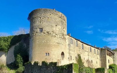 Visite guidée – Le château des Quat’Sos
