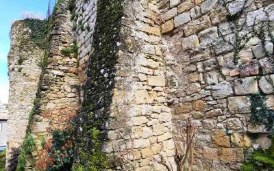 Visite guidée – Les remparts de La Réole