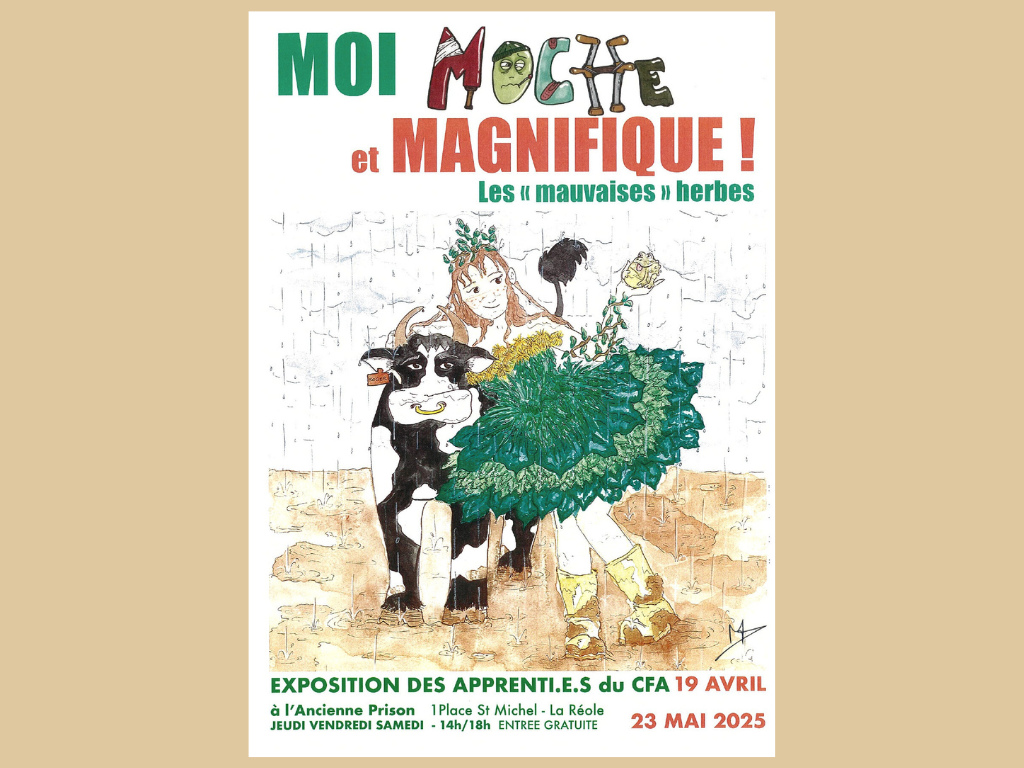 Exposition : Moi, moche et magnifique