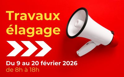𝗔𝗟𝗘𝗥𝗧𝗘 𝗘𝗟𝗔𝗚𝗔𝗚𝗘 🌳 Du 9 > 20 février