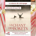 Séance rattrapage : Le chant des forêts