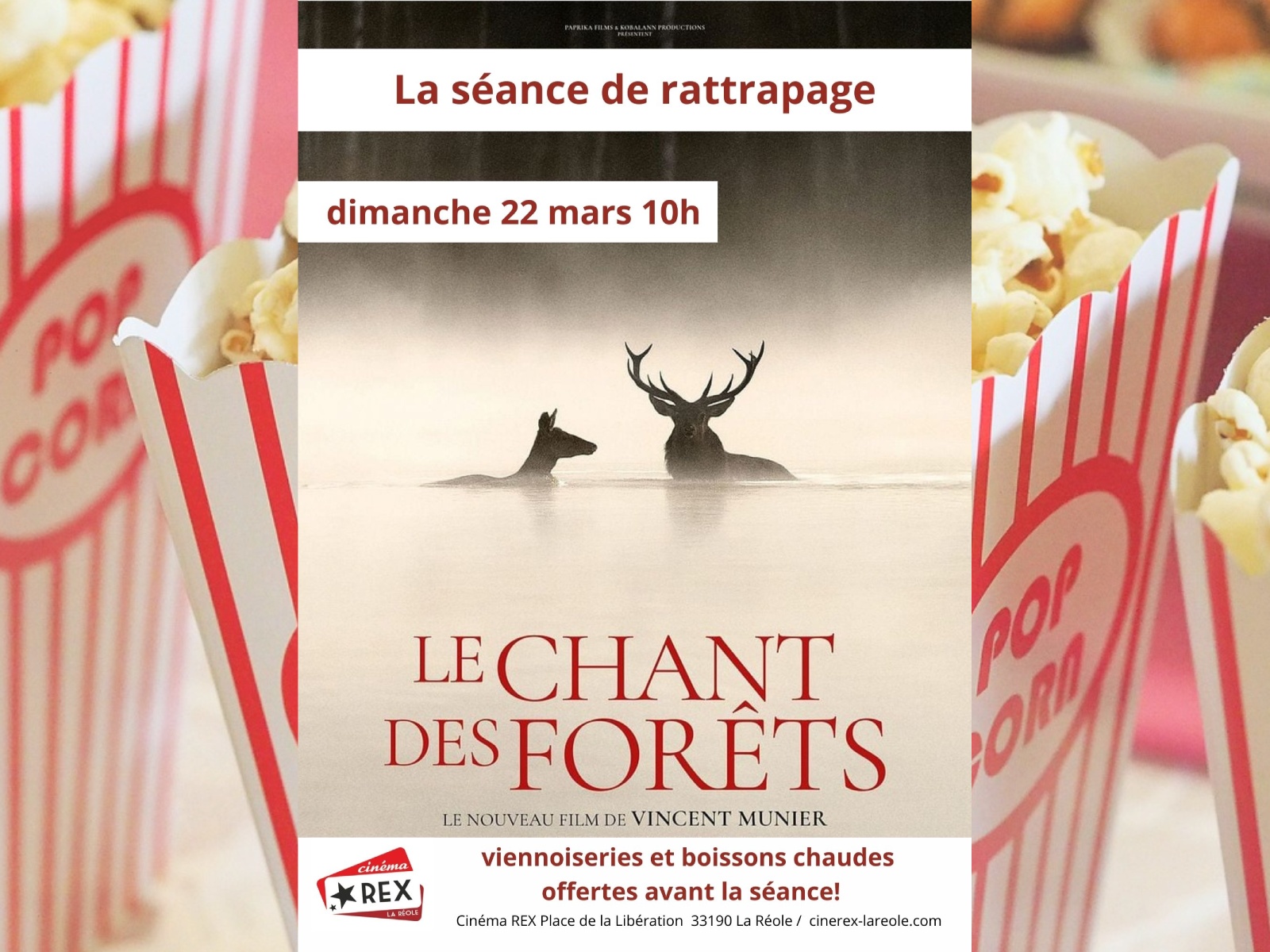 Séance rattrapage : Le chant des forêts