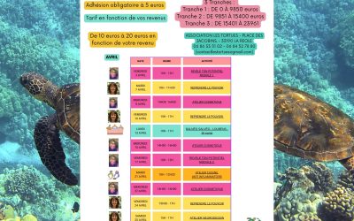 Association les tortues : Programme du mois d’Avril