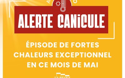 Plan canicule | Sud Gironde