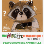 Exposition pédagogique faune sauvage | Pour toute la famille