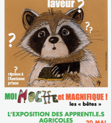Exposition pédagogique faune sauvage | Pour toute la famille