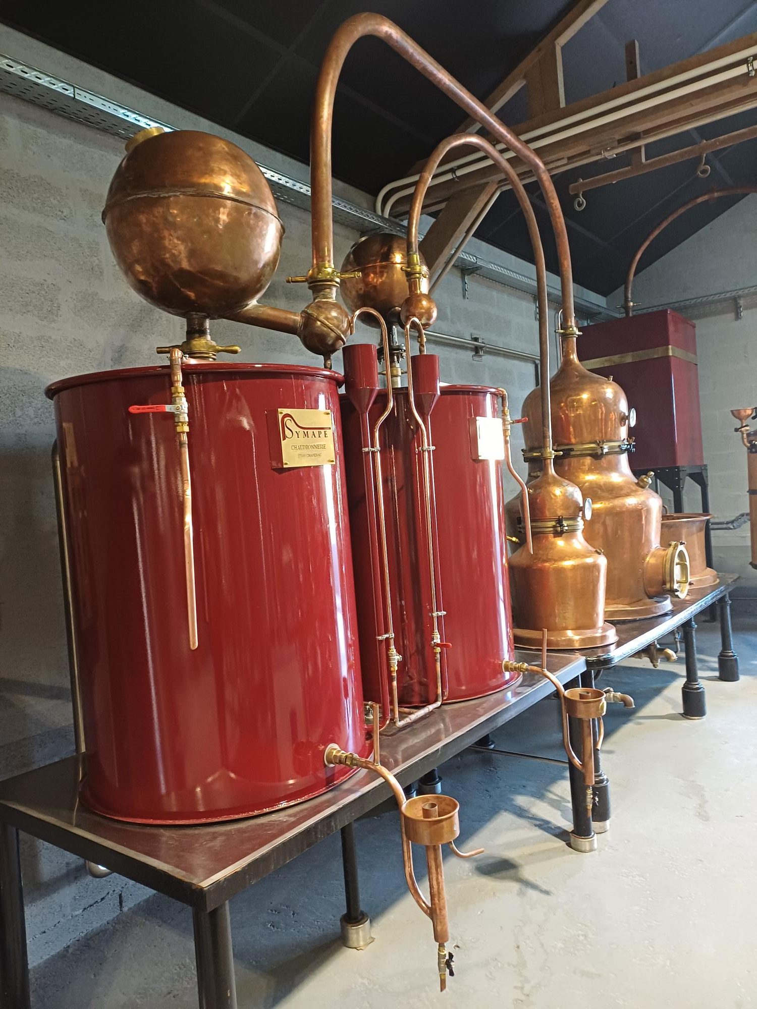 Ici, nos savoir-faire - Visite Distillerie Benoît Serres